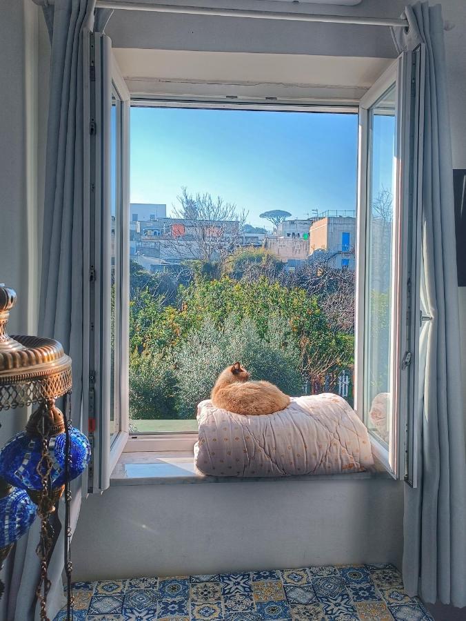 La Luna Nel Pozzo Procida Exteriör bild